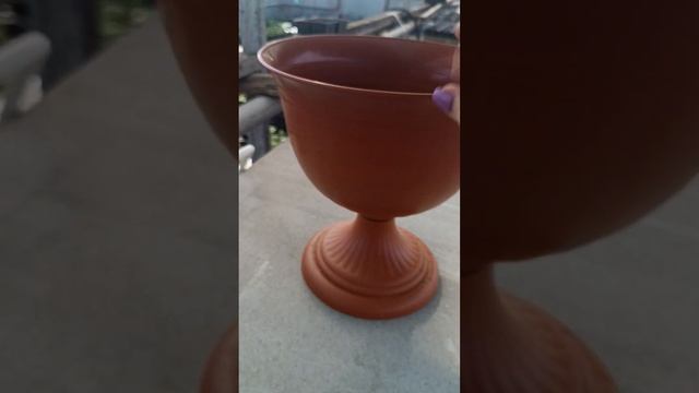 Трудовые будни в теплице.Гортензии ещё в продаже от 350 смотреть онлайн