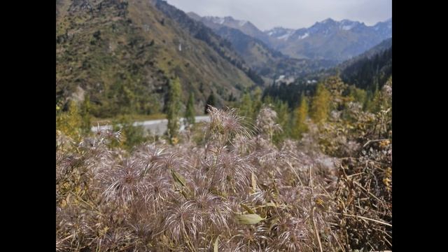Музыка гор и ветра. Алматы Казахстан. Медеу.