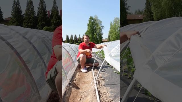 Плёнка VS агроспан
