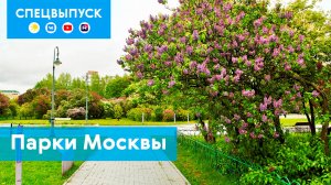 Спецвыпуск: парки Москвы