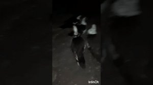 ПроПокупки.Озон.Уличный фонарь на солнечной батарее с тремя режимами.Обзор.Фильм2.Серия4  .mp4