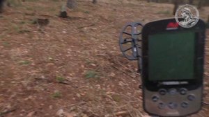 Битва поколений - Minelab X-Terra 705 против X-terra Elite (13" 18,75 кГц DD