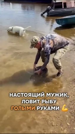 Знатный красавец, только не поели😂
