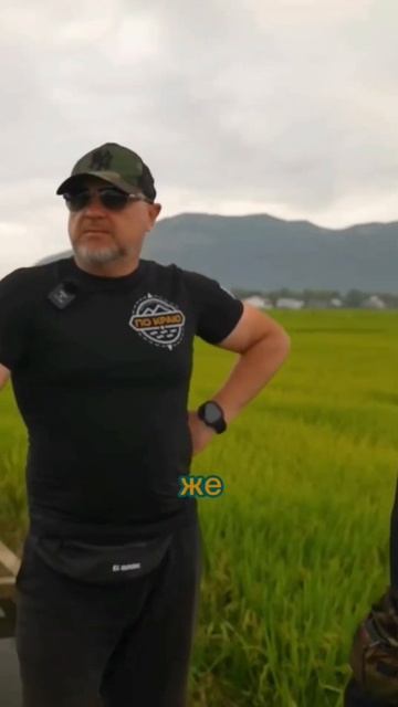 Процесс выращивания риса 🌱 смотреть онлайн