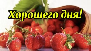 Доброго дня вам и хорошего утра!
