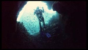 Солнечный Блюз - Влад Фельдман  ❤️