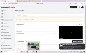 играем в бимку