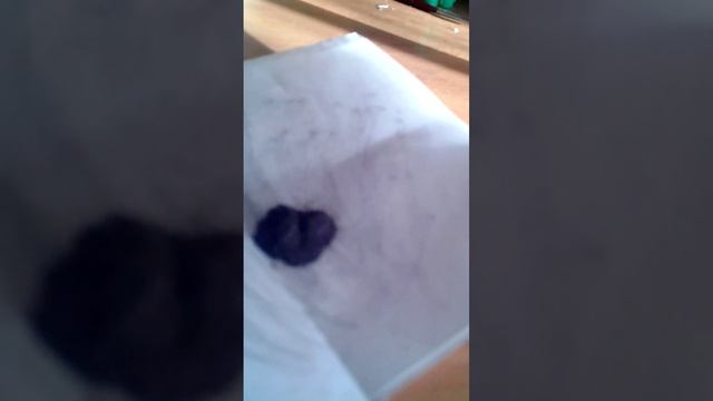 Как сделать черный порох из спичек ? смотреть онлайн