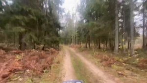 ПОКАТУШКИ НА МИНСКЕ ПО ЛЕСУ! / МИНСК 125