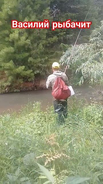 Рыбалка на верховку. #рыбалка #тайга #выживание смотреть онлайн