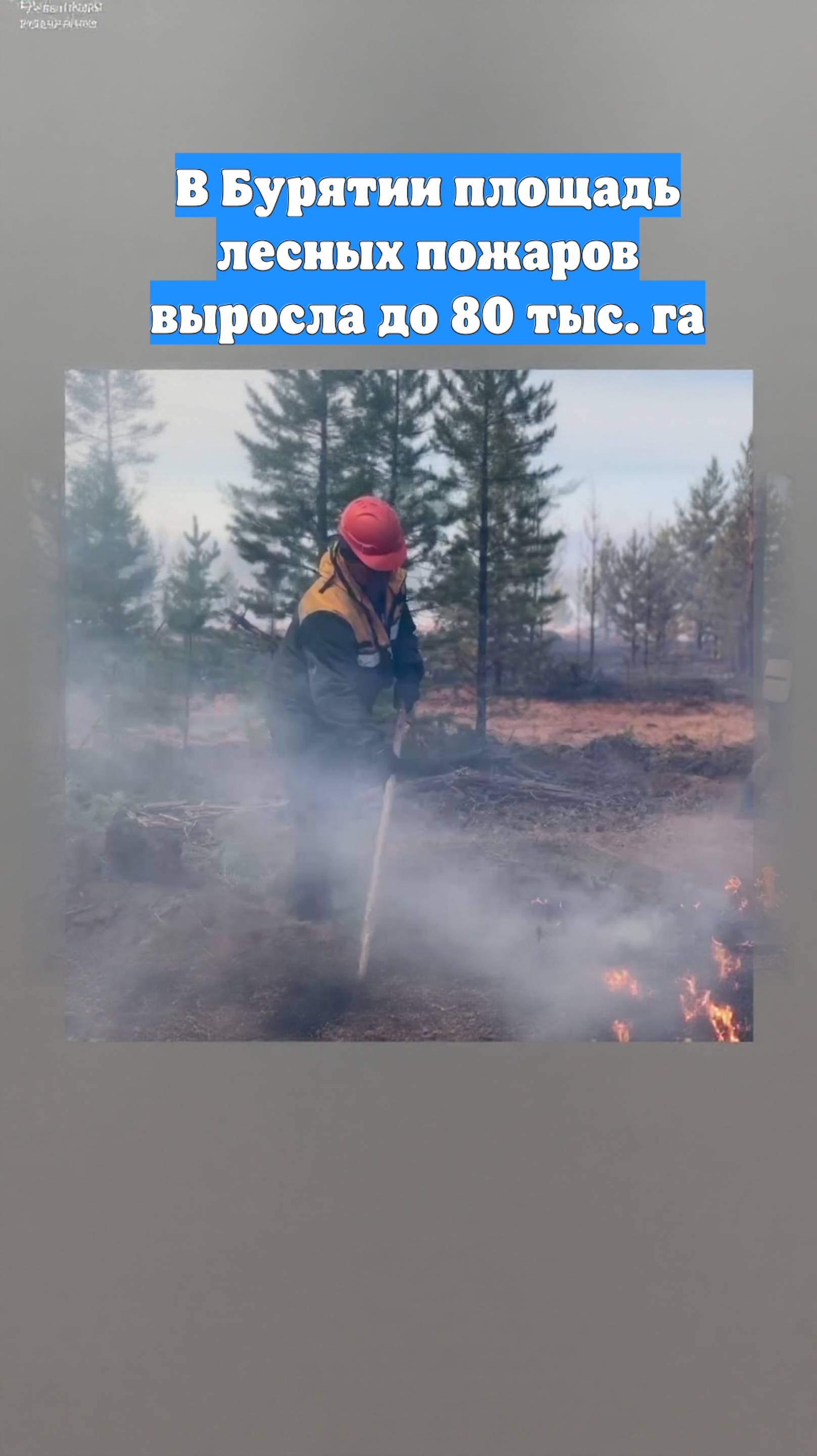В Бурятии площадь лесных пожаров выросла до 80 тыс. га