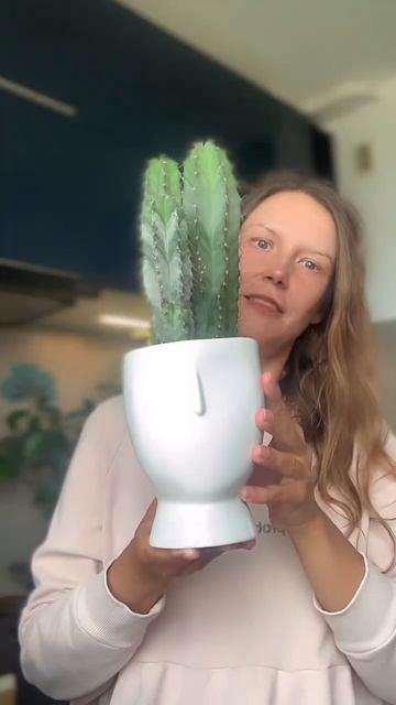 Вариант посадки кактуса👍 смотреть онлайн