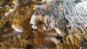 Пластилиновый Сталкер (3) - (Пластилиновая анимация)