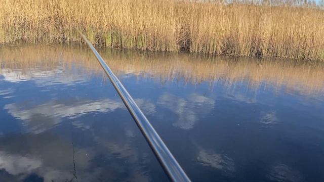 Плотва на поплавочную удочку смотреть онлайн