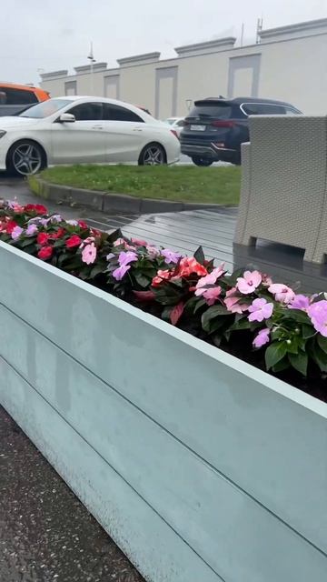 Открытие выставочного дома в гипермаркетах Твой Дом. # смотреть онлайн