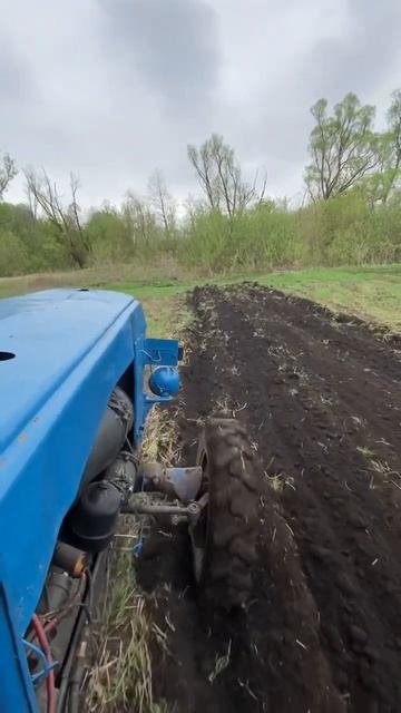 Открытие сезона работы на тракторе Т-40АМ. Подготовка п смотреть онлайн