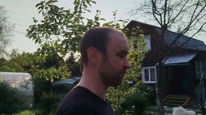 Борьба с тлёй!