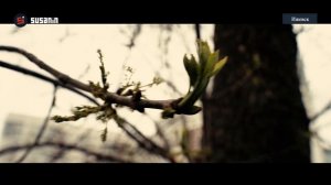 Дождливое 8 мая в Ижевске