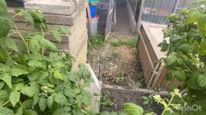 4. Июня. Сегодня немного поработаем...🧅🧅🧅