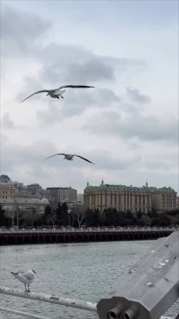 Море.
