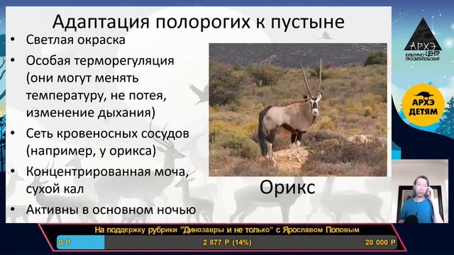Занятие "Рога времени: путешествие в прошлое полороги? смотреть онлайн