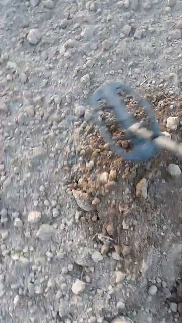 Необычная находка на вспаханном поле. Коп с металлоис? смотреть онлайн