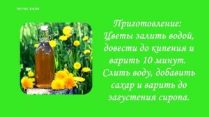 ОДУВАНЧИК. ПОЧЕМУ НАДО ЕСТЬ И ПИТЬ ОДУВАНЧИК...? ЭНЕРГИ