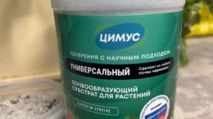 Внесите под декабристы всего 1 раз, они попрут в рост, б