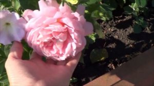 Паломническая поездка в монастырь, село Трескино