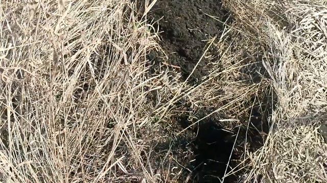 коп чермета 2024 первый выход и последний))) смотреть онлайн