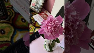 Airy Everlast - война (lirika raritet)