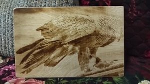 Коршун