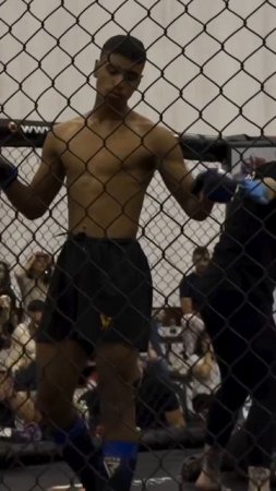 Лучшие нокауты Подпишись и ставь лайк #ufc #mma #youtube #sports #tiktok #shortsvideo #russia #box