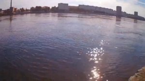 РЫБАЛКА НА НЕВЕ 🎣🎣🎣🎣🎣