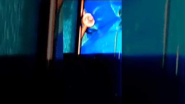 Когда капитала от души. MAN TGA D2876 смотреть онлайн