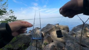 Лящ та Карась на Вафтерс та Поп-ап . Рибалка на Флет-Фід