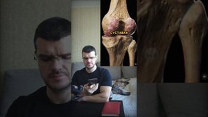 Что будет если есть неделю только мясо? #похудение #зо?