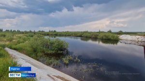 Жителей Зауралья атакуют комары и мошки