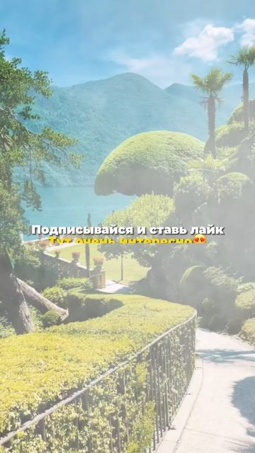 Попугаи едят Овец?🦜😨 #факты #попугай смотреть онлайн