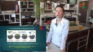 Биохимия. Количественный анализ белков (Н. Антипова)