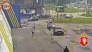 Подросток прыгнул под машину испугавшись собаки