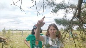 Планы на лето 2025 года