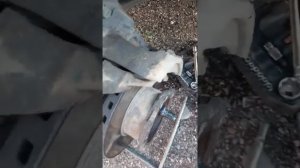 газон некст замена тормозного диска и колодак