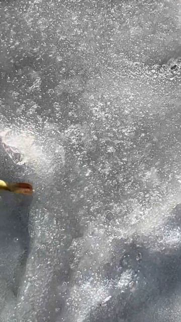 Поклевка окуня онлайн. смотреть онлайн