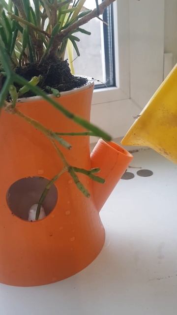 Сам сделал цветочный горшок с автополивом 🤯🤯🤯 #diy #? смотреть онлайн