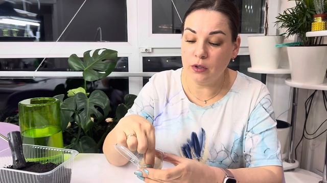 ЛУК ИЗ СЕМЯН - ЛЕГКО, ОГРОМНЫЙ УРОЖАЙ ОБЕСПЕЧЕН! смотреть онлайн