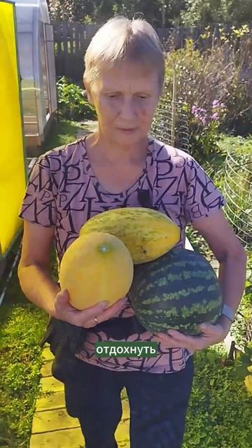 Убираем урожай. #мульчирование #сад #садоводство #прир? смотреть онлайн