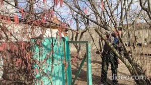 Пила цепная 8 дюймов Onevan бесщеточная