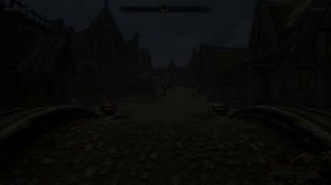 БЕЗУМИЕ ПЕЛАГИУСА—Skyrim (КНИГИ)