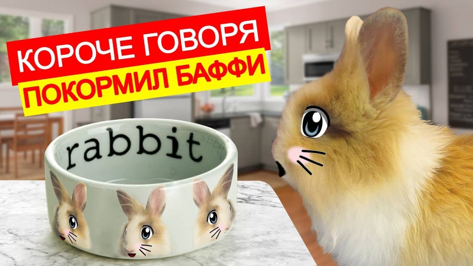 УТРО КРОЛИКА БАФФИ А НУ КА ДАВАЙ КА КОТ МАЛЫШ И КОШЕЧКА МУРКА смеялись. короче говоря покормил Баффи